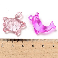 Transparent Acrylic Pendants&nbsp;X-OACR-Z016-24