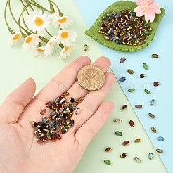 30Pcs Electroplate Glass Beads&nbsp;EGLA-YW0005-16A