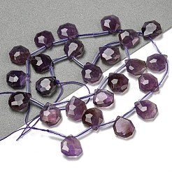 Natural Amethyst Beads Strands&nbsp;G-P544-C01-01