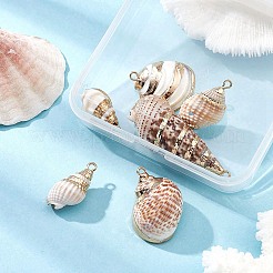 6 個 6 スタイル電気メッキ天然スパイラル シェル ペンダント  金メッキの鉄製ループが付いたシェルチャーム  貝殻色  18~59x9~24x7~22mm  穴：1.2~1.6mm  1個/スタイル&nbsp;SSHEL-YW0001-06