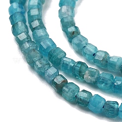 Natural Blue Apatit Beads Strands&nbsp;G-H042-B12-01B