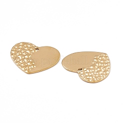 Ion Plating(IP) 304 Stainless Steel Pendants&nbsp;STAS-B031-17G
