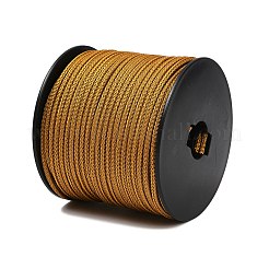 40M Nylon Coated 304 Stainless Steel Braided Wires&nbsp;TWIR-P002-01A-04