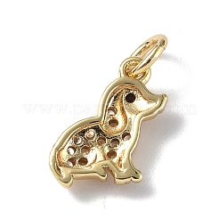 Brass Micro Pave Cubic Zirconia Charms&nbsp;ZIRC-F131-04G