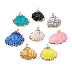 スプレー式塗料＆貝殻ペンダント  鉄パーツ  ライトゴールド  ミックスカラー  16~26x17~28x7~10mm  穴：2mm&nbsp;SSHEL-S262-08