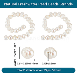 3連天然淡水養殖真珠ビーズ連  ポテト  貝殻色  6~7x7~8.5mm  穴：0.5mm  約26個/連  7.09''（18センチメートル）&nbsp;PEAR-BBC0001-24