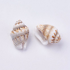 Shell Beads&nbsp;BSHE-P026-35
