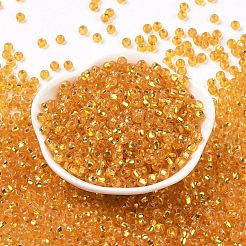 6/0 Glass Seed Beads&nbsp;SEED-T006-04C-04
