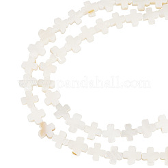 天然淡水貝ビーズ 1 連  クロス  フローラルホワイト  7.5~8x7.5~8.5x2.5~3mm  穴：0.7mm  約50個/連  15.47''（39.3センチメートル）&nbsp;SSHEL-TA0001-19
