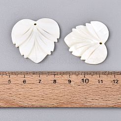 天然淡水貝の彫刻ペンダント  葉のチャーム  フローラルホワイト  30~32x31~33x2~2.5mm  穴：1.6~2mm&nbsp;SHEL-Q028-12