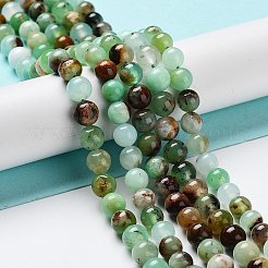 Natural Chrysoprase Beads Strands&nbsp;G-G057-A01-02