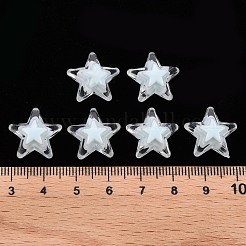 Transparent Acrylic Beads&nbsp;TACR-S152-11A-10