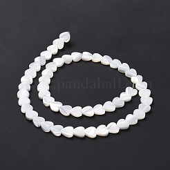 Natural Trochus Shell Beads Strands&nbsp;SSHEL-H070-06B