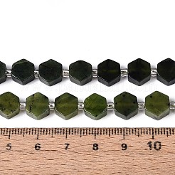 Natural Canadian Jade Beads Strands&nbsp;G-P534-A18-02