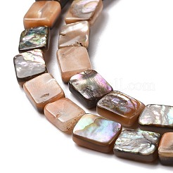 Natural Red Paua Shell Beads Strands&nbsp;SSHEL-G023-11A