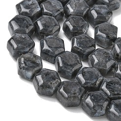 天然ラルビカイトビーズ連売り  六角  10~10.5x11~11.5x6.5~7mm  穴：1mm  約37~38個/連  15.04~15.16''（38.2~38.5センチメートル）&nbsp;G-G463-A05-10x11mm