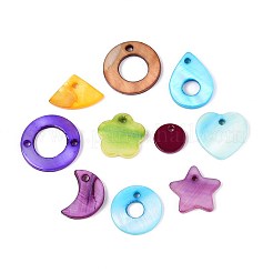 Dyed Natural Freshwater Shell Pendants and Links Kits&nbsp;SHEL-T020-57