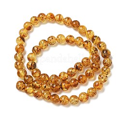 天然琥珀ビーズ連売り  ラウンド  6mm  穴：1mm  約58個/連  14.88''（37.8センチメートル）&nbsp;G-K387-D02-01