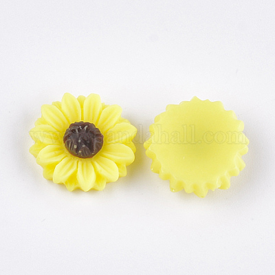 Resin Cabochons&nbsp;CRES-T010-60J-1