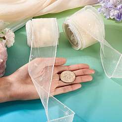 Polyester Deco Mesh Ribbons&nbsp;OCOR-TAC0024-004F