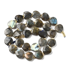 Natural Labradorite Beads Strands&nbsp;G-B044-B21-01
