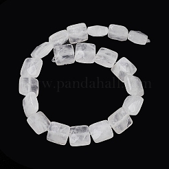 Natural Quartz Crystal Beads Strands&nbsp;G-K359-B01-01