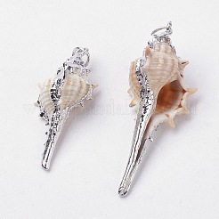 電気メッキ巻き貝ペンダント  鉄パーツ  巻き貝  プラチナ  32~72x14~35x12~21mm  穴：2mm&nbsp;BSHE-L036-08