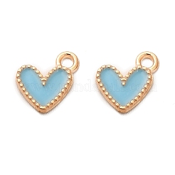 Alloy Enamel Charms&nbsp;FIND-G055-20G-03