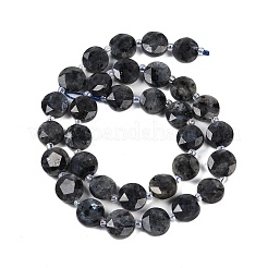 Natural Larvikite Beads Strands&nbsp;G-C116-A45-01