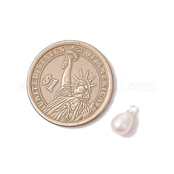 Natural Cultured Freshwater Pearl Rice Charms&nbsp;PALLOY-JF05079-02