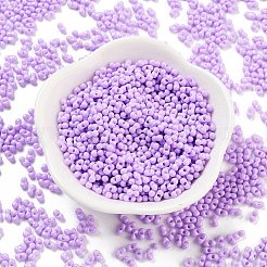 Baking Paint Glass Seed Beads&nbsp;X1-SEED-A033-05J