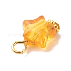透明なアクリルパーツ  鉄のパーツと  星の模様  14.5x9x5.5mm  穴：2mm&nbsp;PALLOY-JF01834-03