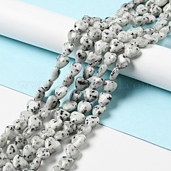 ナチュラルセサミジャスパー/キウイジャスパービーズ連売り  ハート  12x12~12.5x5~5.5mm  穴：1.2mm  約33~34個/連  15.35''（39センチメートル）&nbsp;G-B022-12C