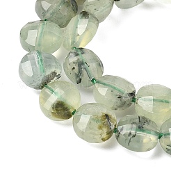 Natural Prehnite Beads Strands&nbsp;G-C179-A51-03