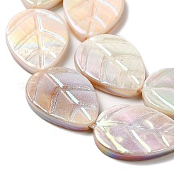 Natural Freshwater Shell Beads Strands&nbsp;SHEL-K006-35