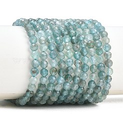 Natural Apatite Beads Strands&nbsp;G-RM250101-C9
