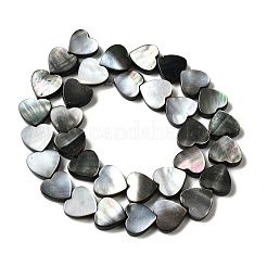 Natural Black Lip Shell Beads Strands&nbsp;BSHE-D300-06A