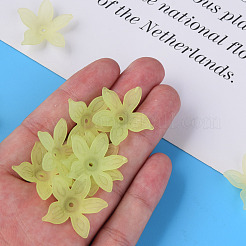 透明なアクリルビーズ  艶消し  花  薄緑  26x27x6mm  穴：1.8mm  約980個/500g&nbsp;MACR-S373-127-D06