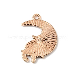 合金エナメルチャーム  ライトゴールド  猫のチャーム  ムーン  26x20x1mm  穴：2mm&nbsp;ENAM-E009-01KCG-06