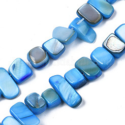 Natural Trochid Shell/Trochus Shell Beads Strands&nbsp;SHEL-S258-082