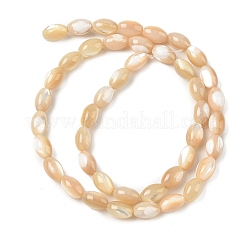 天然貝殻の楕円形のビーズ連  モカシン  9x6mm  穴：1mm  約47個/連  15.9インチ&nbsp;SSHEL-M016-01B