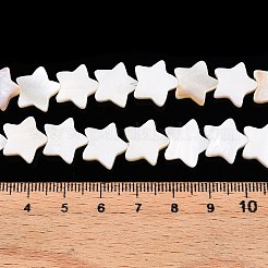 天然淡水シェルビーズ連売り  スター  淡黄色  12~13x12~13x3mm  穴：0.8mm  約33個/連  12.60''（32センチメートル）&nbsp;SHEL-WH0009-05