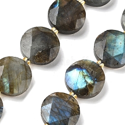Natural Labradorite Beads Strands&nbsp;G-C116-A164-03