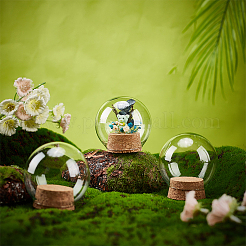 6 Sets Glass Dome Cover&nbsp;DJEW-BC0001-10