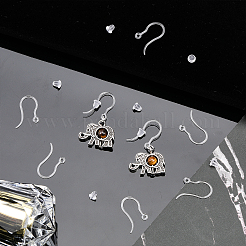 100Pcs Transparent Resin Earring Hooks&nbsp;RESI-CA0001-49