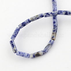 Natural Blue Spot Gemstone Beads Strands&nbsp;X-G-R181-16