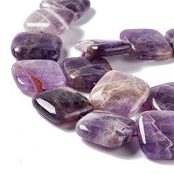 Natural Amethyst Beads Strands&nbsp;G-L253-11