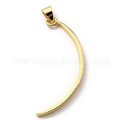 Brass with Cubic Zirconia Pendants&nbsp;KK-K341-32G