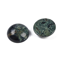 Natural Kambaba Jasper Cabochons&nbsp;G-T020-18mm-34