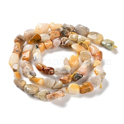Natural Crazy Agate Beads Strands&nbsp;G-P497-01C-08